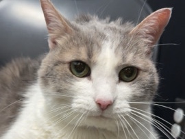 My Name Is Cloud – Greenville