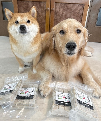 Shiba Inu – both are available