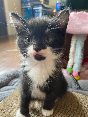 Milo