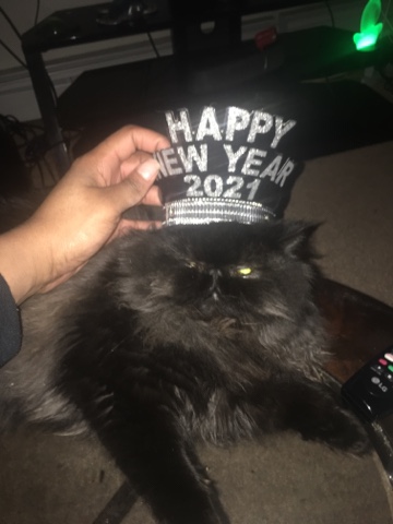 A Persian Named Jeanne