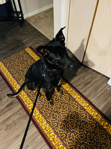 finding a new home