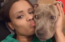 American Pit Bull Terrier – FurBaby Brownie needs a great home
