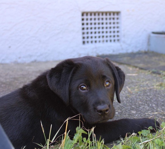 looking for a new home