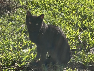 Help if you can (fort lauderdale/dania) – Dania Beach