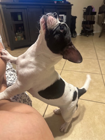 Love Luna