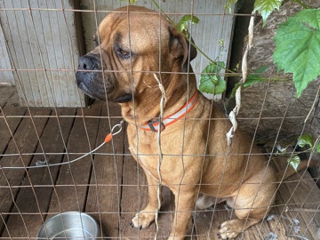 looking for new home asap