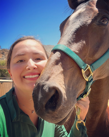 Sweet & Quiet Appendix Mare 