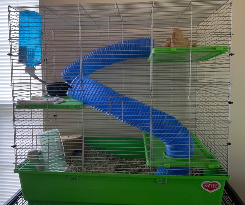 Any – Hamster with cage