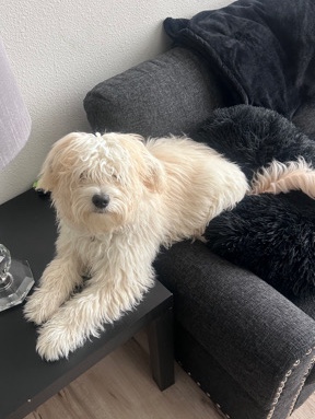 Balenci 10 months