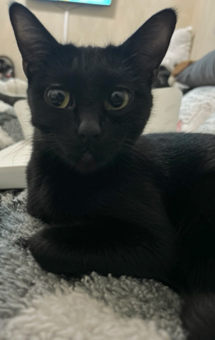 Stormi