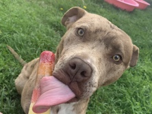Mila – Tamworth