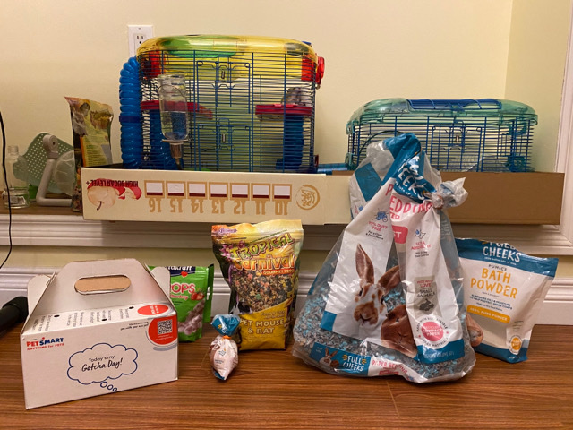 Any – Russian Dwarf Hamster + Equipment for Sale