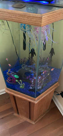 a tank with fish and food and toys and led light