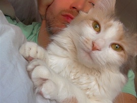 Cat – Duluth
