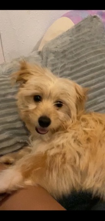 Zeus