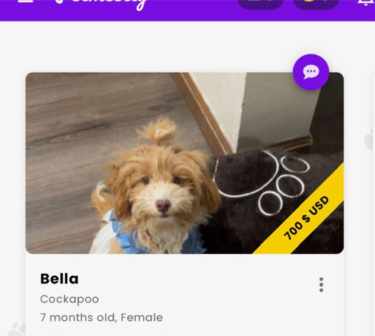 she needs a good home