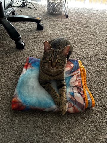 Beerus