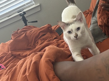Sam & Man Man