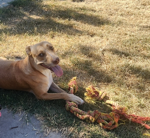 Needs a loving home ❤️