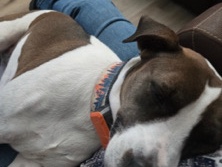 Zoey The Chilled – Tyler