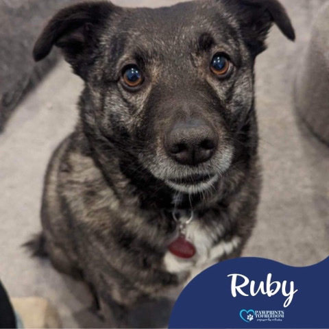 Ruby