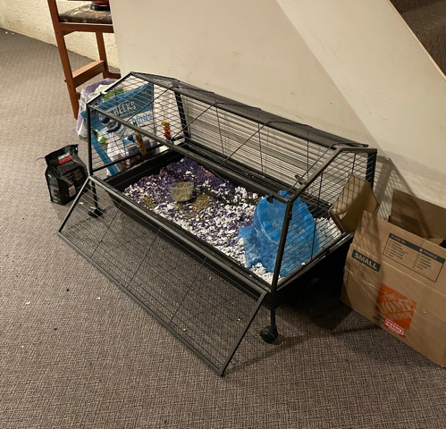 Bunny & Cage with Play Yard