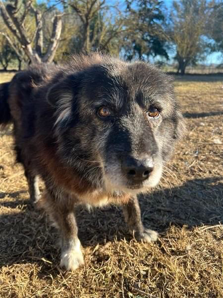 Love looking for a home