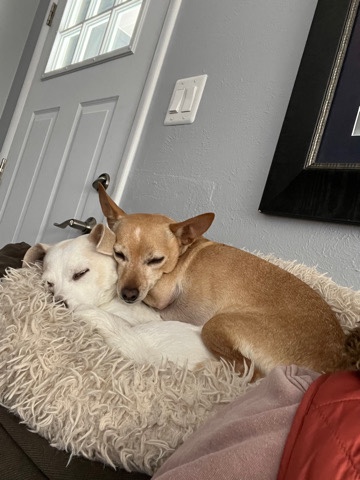 Crystal and Sugar Bear