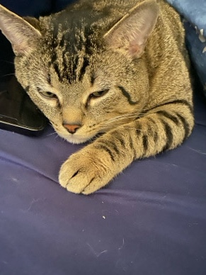 he just needs a home!!