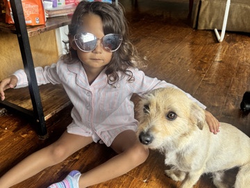 sweet loving pickle needs new home