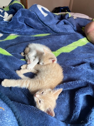 One female and One male