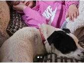 Beagle – mackenzie – Joplin