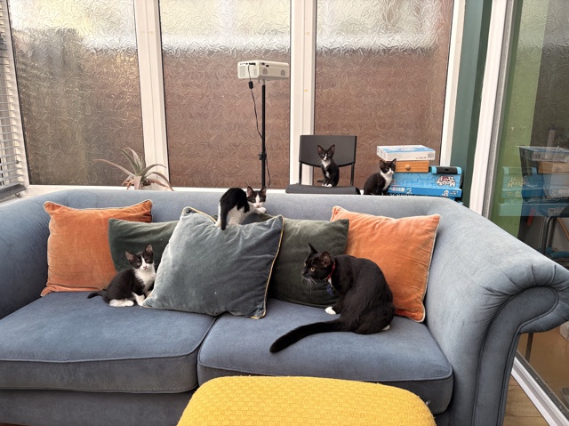 4 beautiful little girls. – Swindon