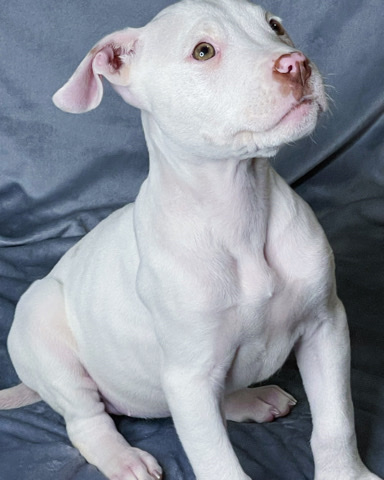 Looking for a forever home