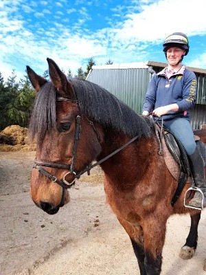 Horse Looking a New Home