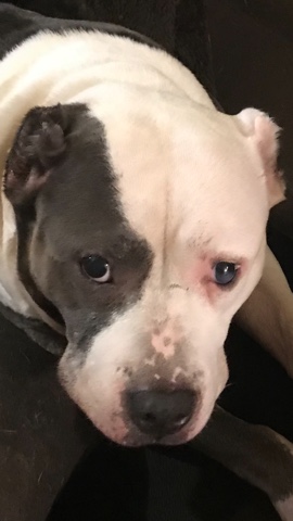 Rehome