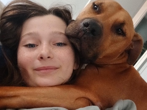 Simba.6 yo/ protects his family 