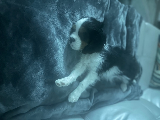 Beautiful Loving Girl