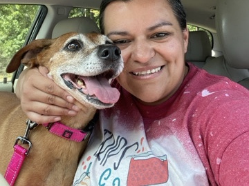 Jill: Sweet elderly hound mix – Onalaska
