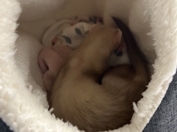 hey my name is khloe