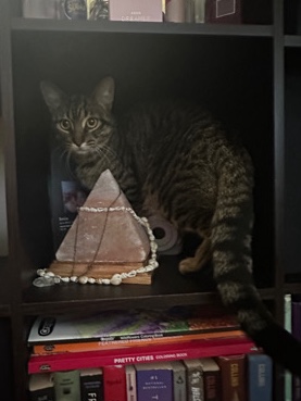 Kitty Demitrea