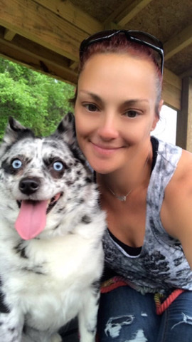 Pomeranian – I have a beautiful black and white blue meral pomsky for sell