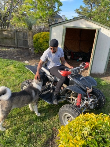Akita – Rehome for my sweet girl