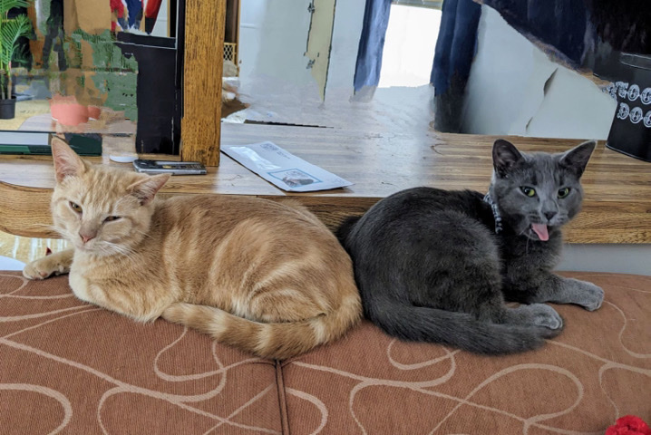 Rusty & Bullet