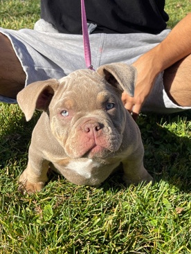 I’m looking to sell this sweetheart