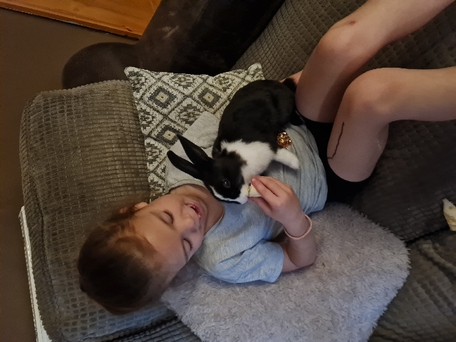 Satin – beautiful baby bunnies