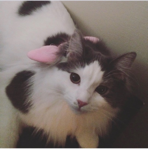 belle pretty girl