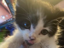 had no shots r vaccinations – Cincinnati