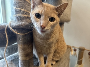 Milo – Mount Dora