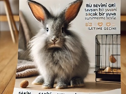 Lionhead – Tavşan ve malzemeleri